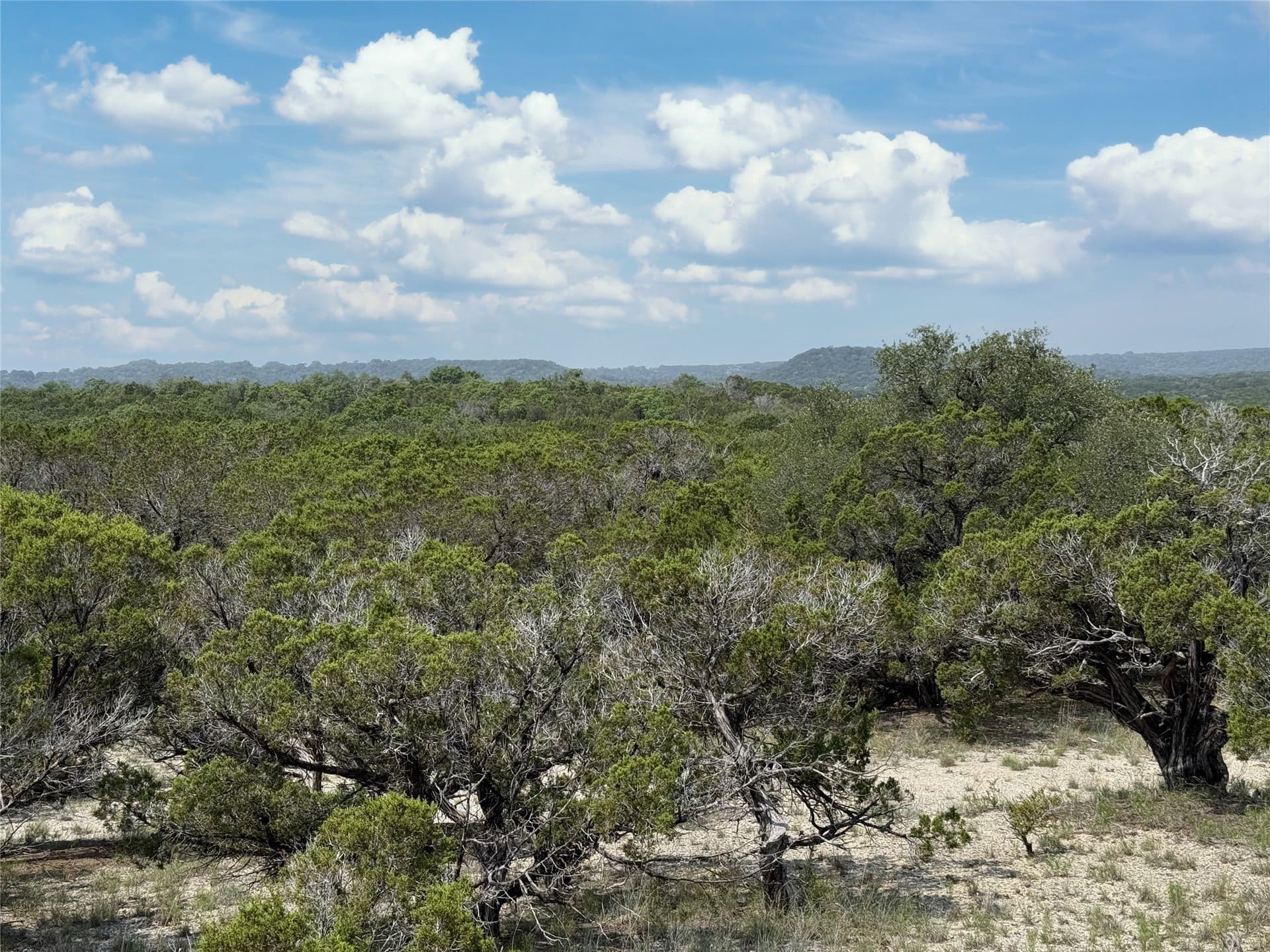 15 acres in Somervell County - photo 16