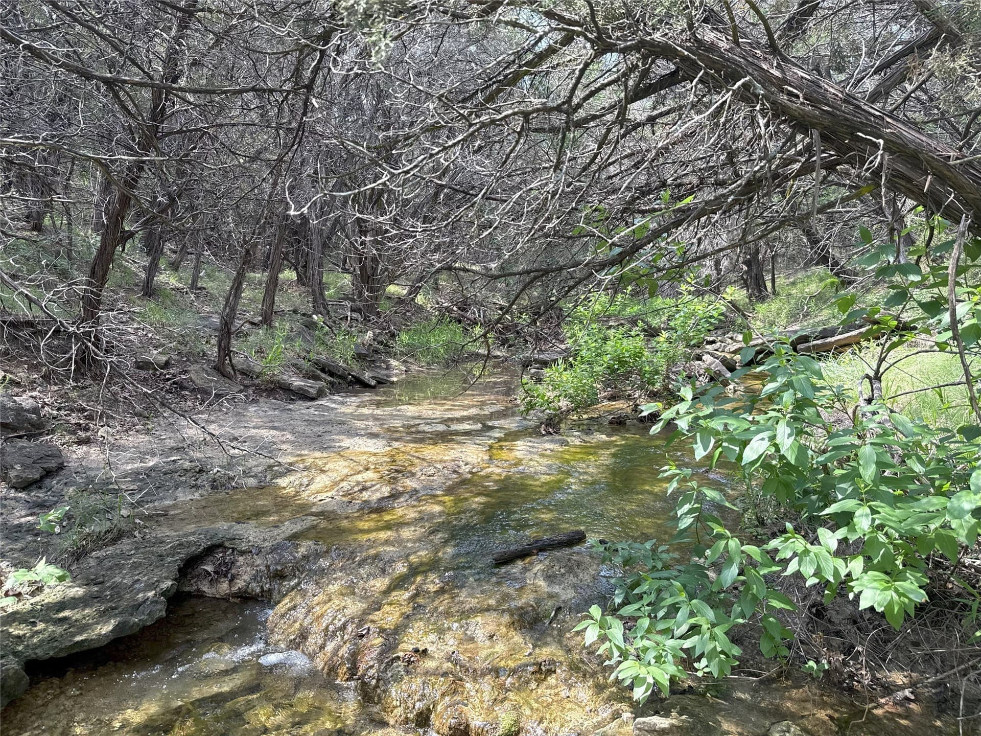 15 acres in Somervell County - photo 14