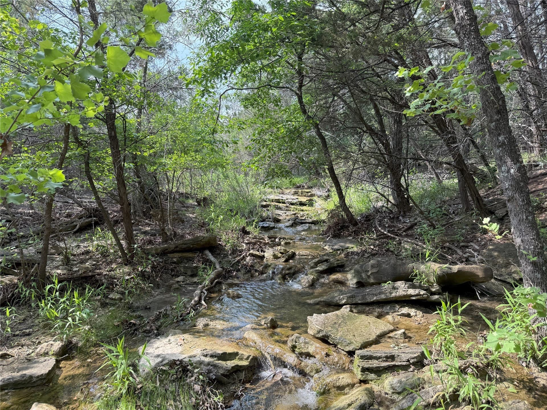 15 acres in Somervell County - photo 13