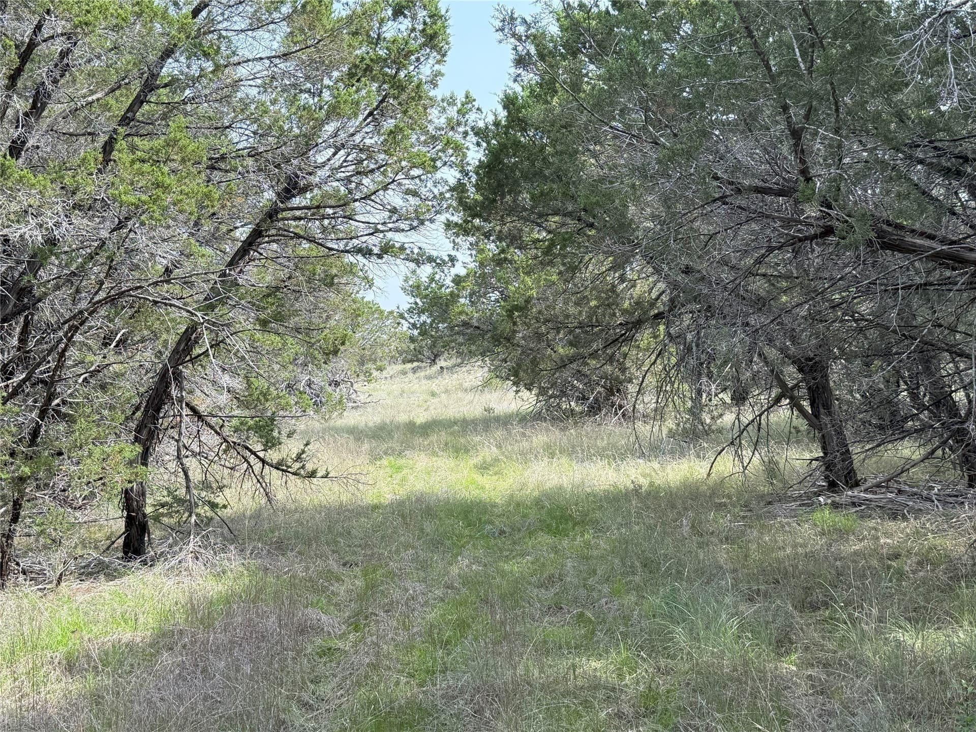15 acres in Somervell County - photo 9