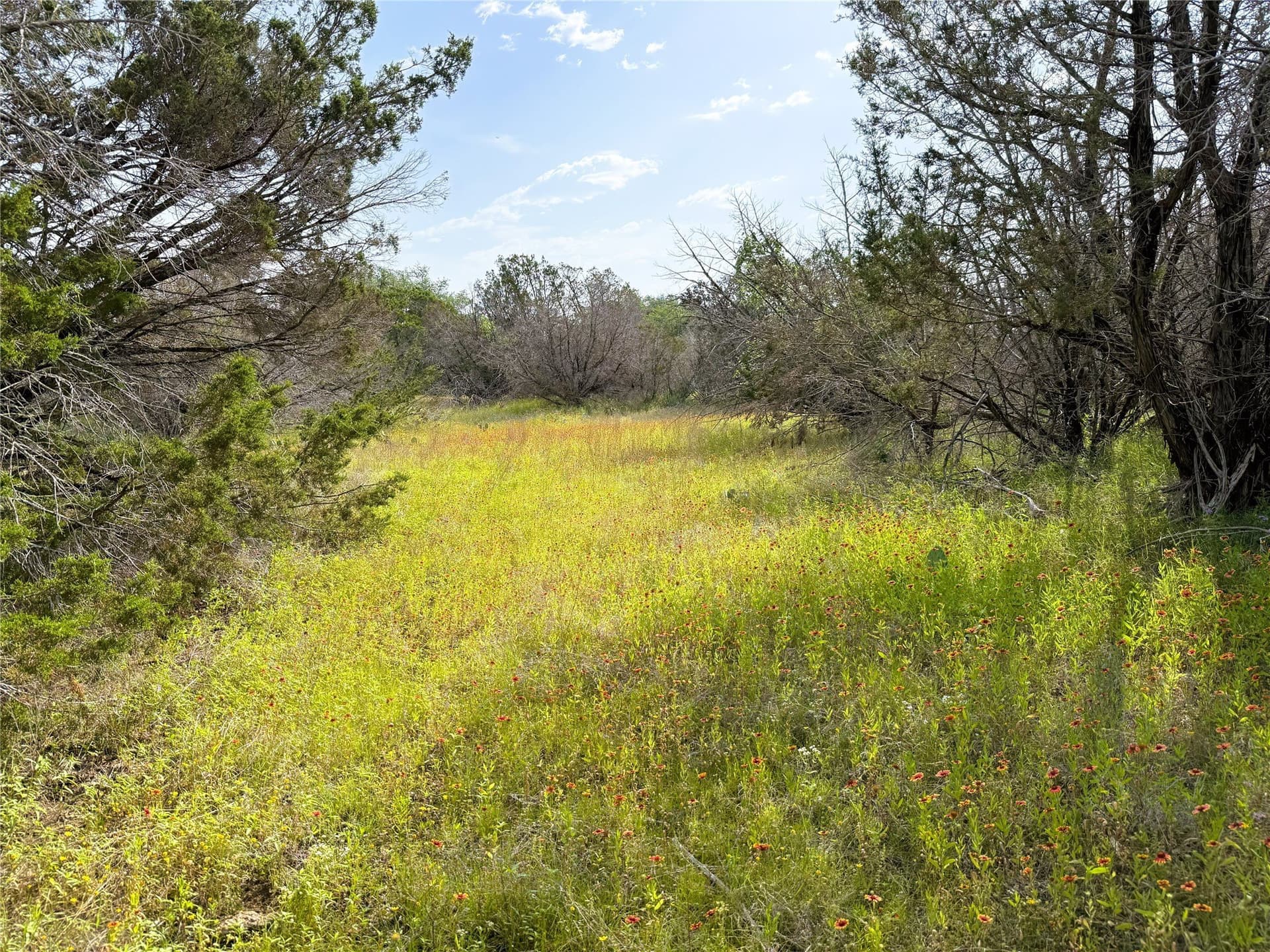 15 acres in Somervell County - photo 8