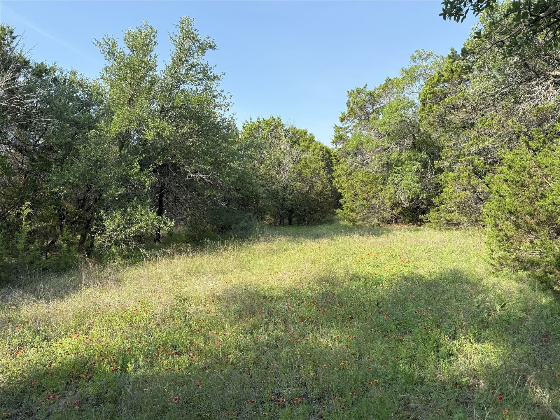 15 acres in Somervell County - photo 4