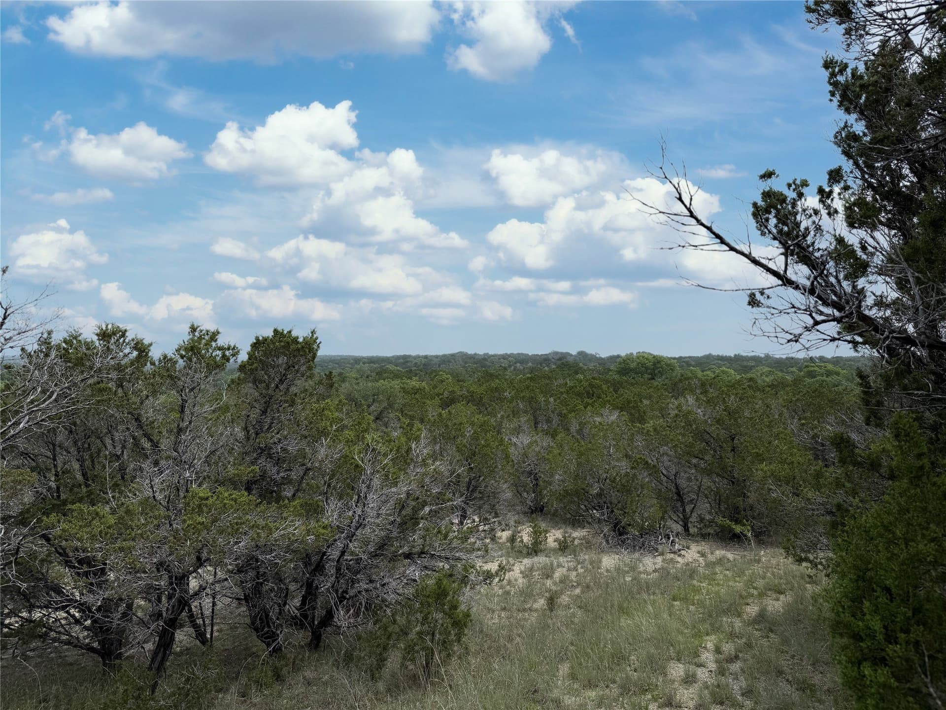 15 acres in Somervell County - photo 20