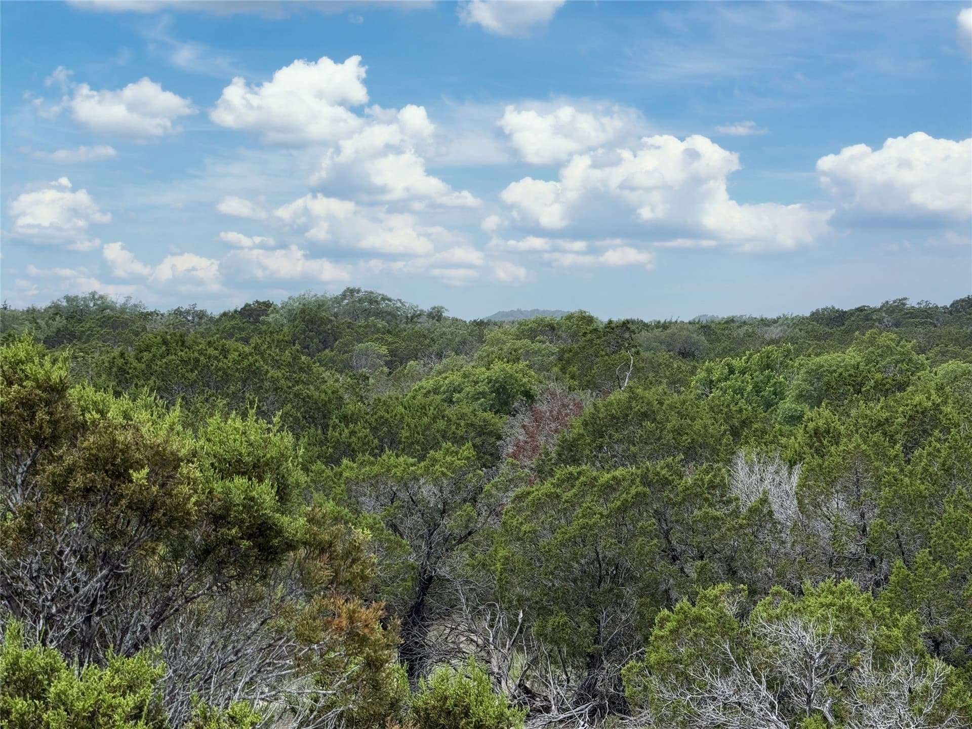 15 acres in Somervell County - photo 19