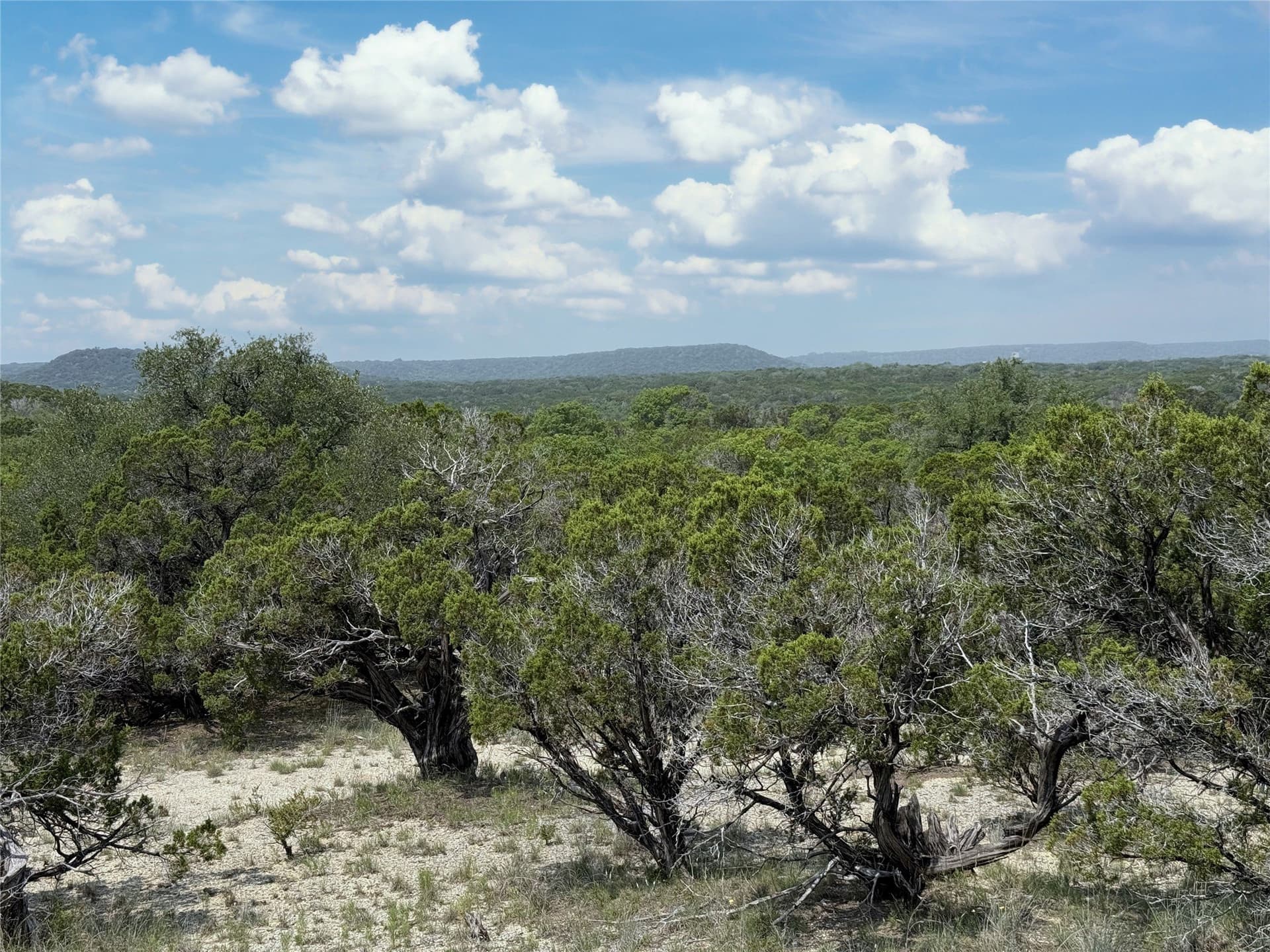 15 acres in Somervell County - photo 17
