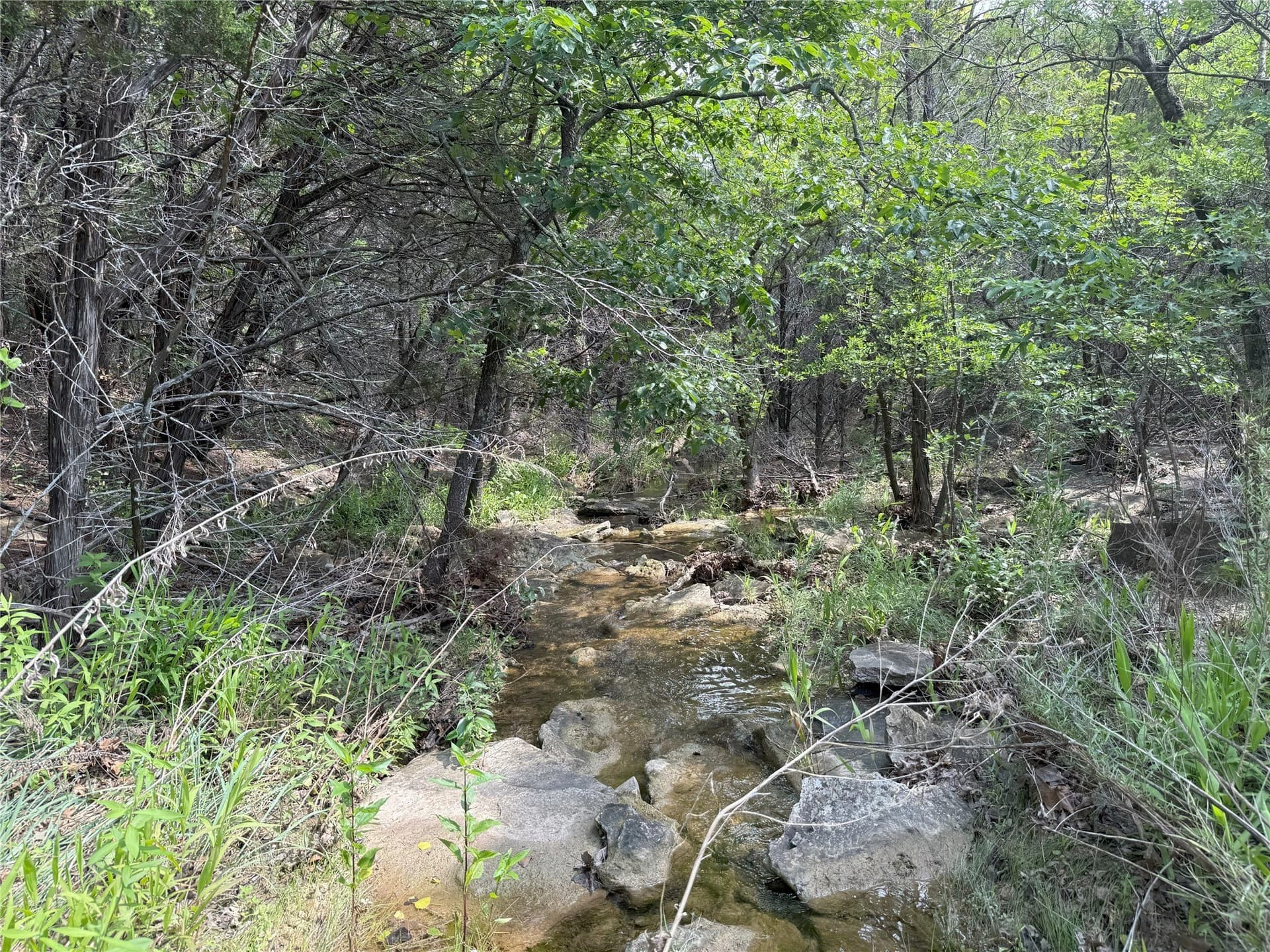 15 acres in Somervell County - photo 12
