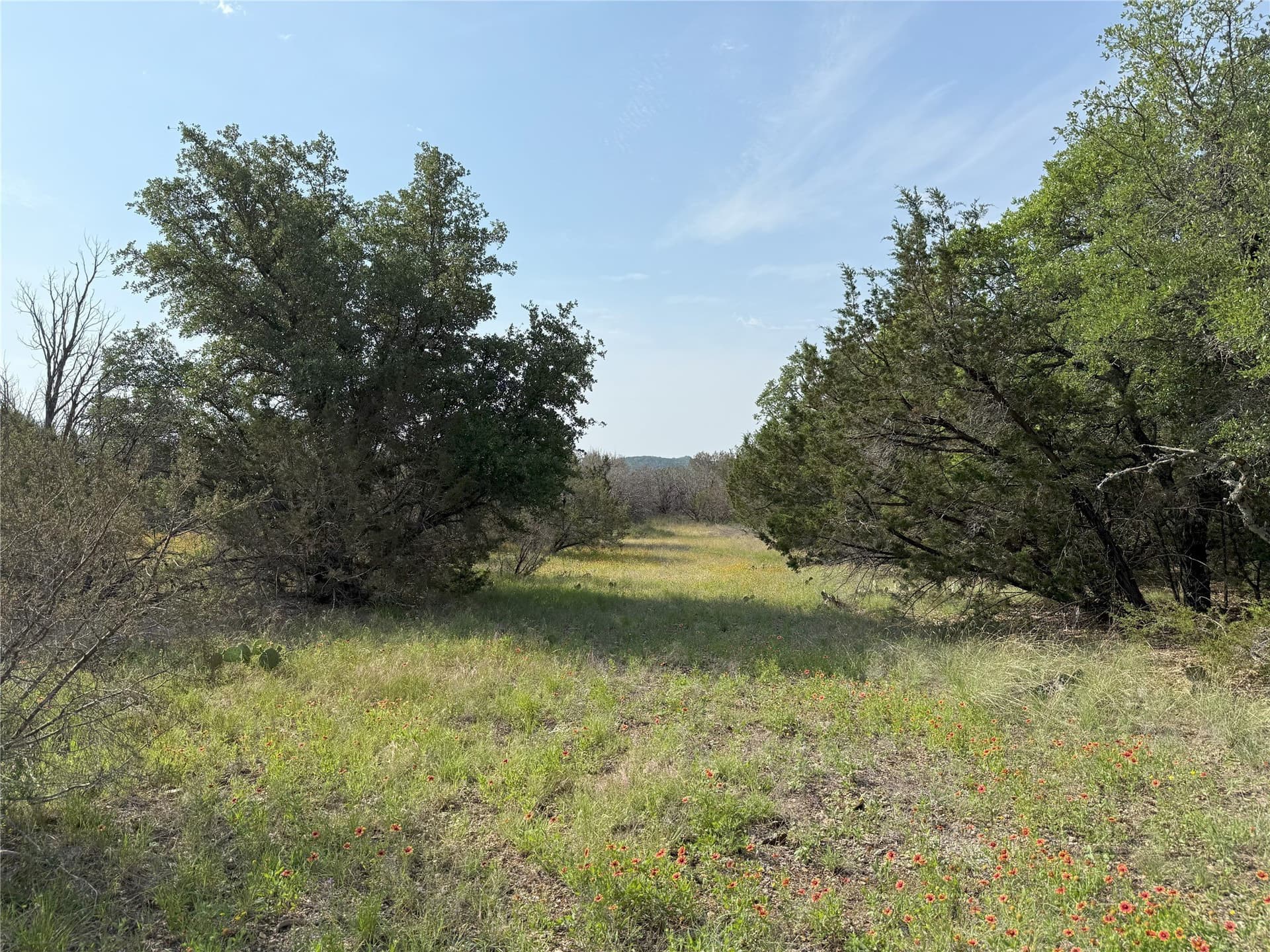 15 acres in Somervell County - photo 6