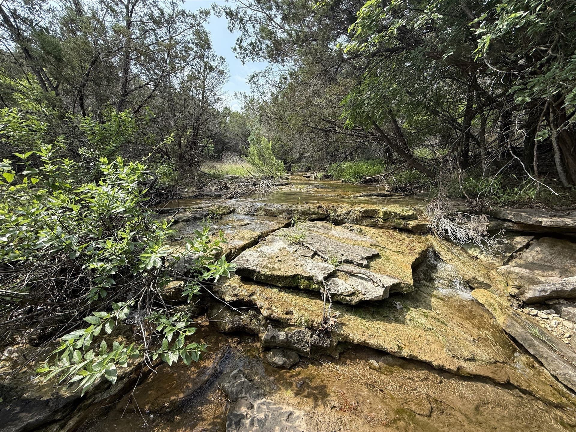 15 acres in Somervell County - photo 11