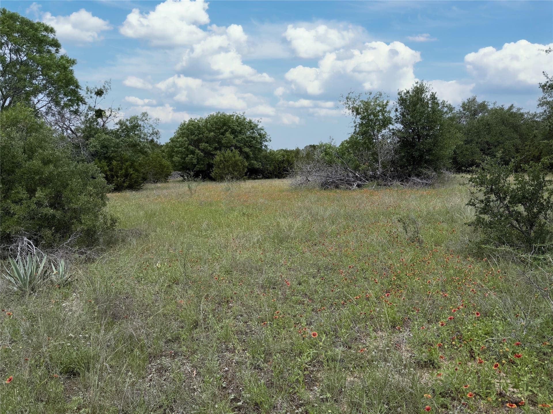 15 acres in Somervell County - photo 21
