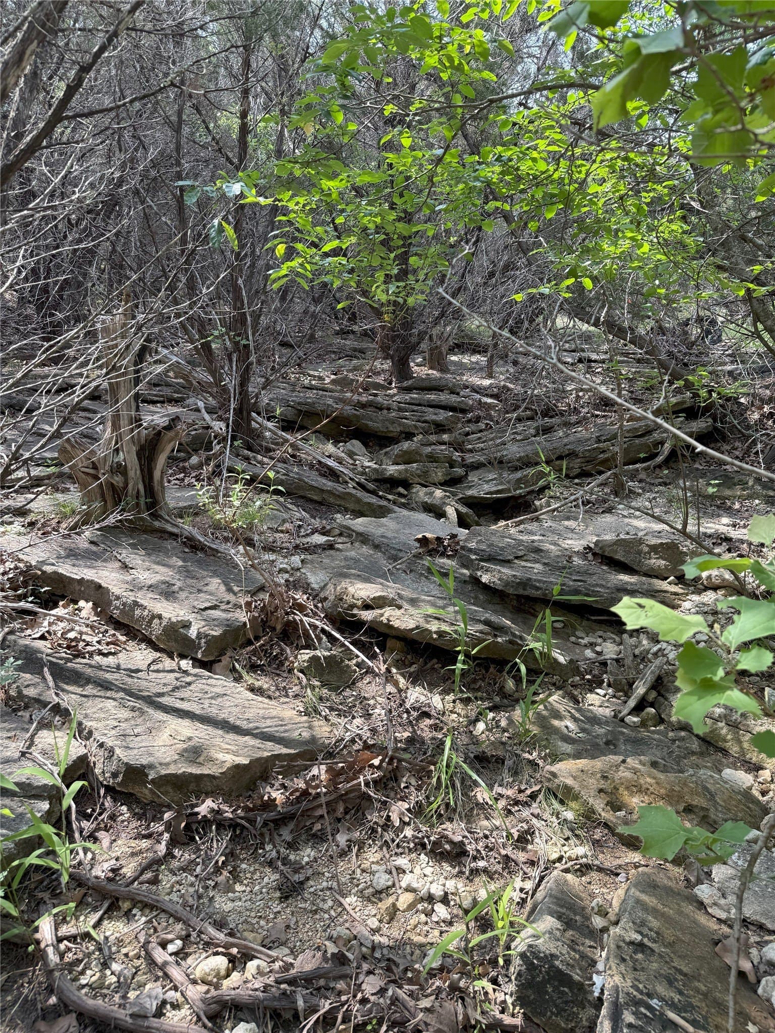 15 acres in Somervell County - photo 15