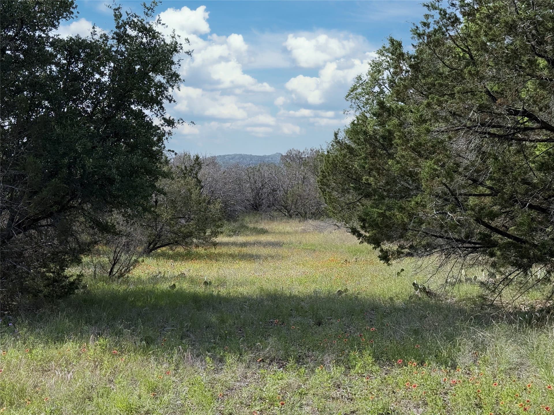 15 acres in Somervell County - photo 2