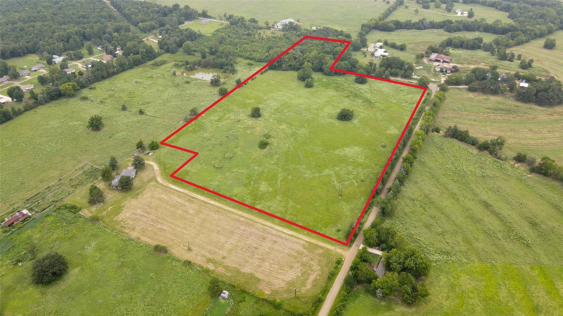 21.52 acres in Titus County gallery image 3
