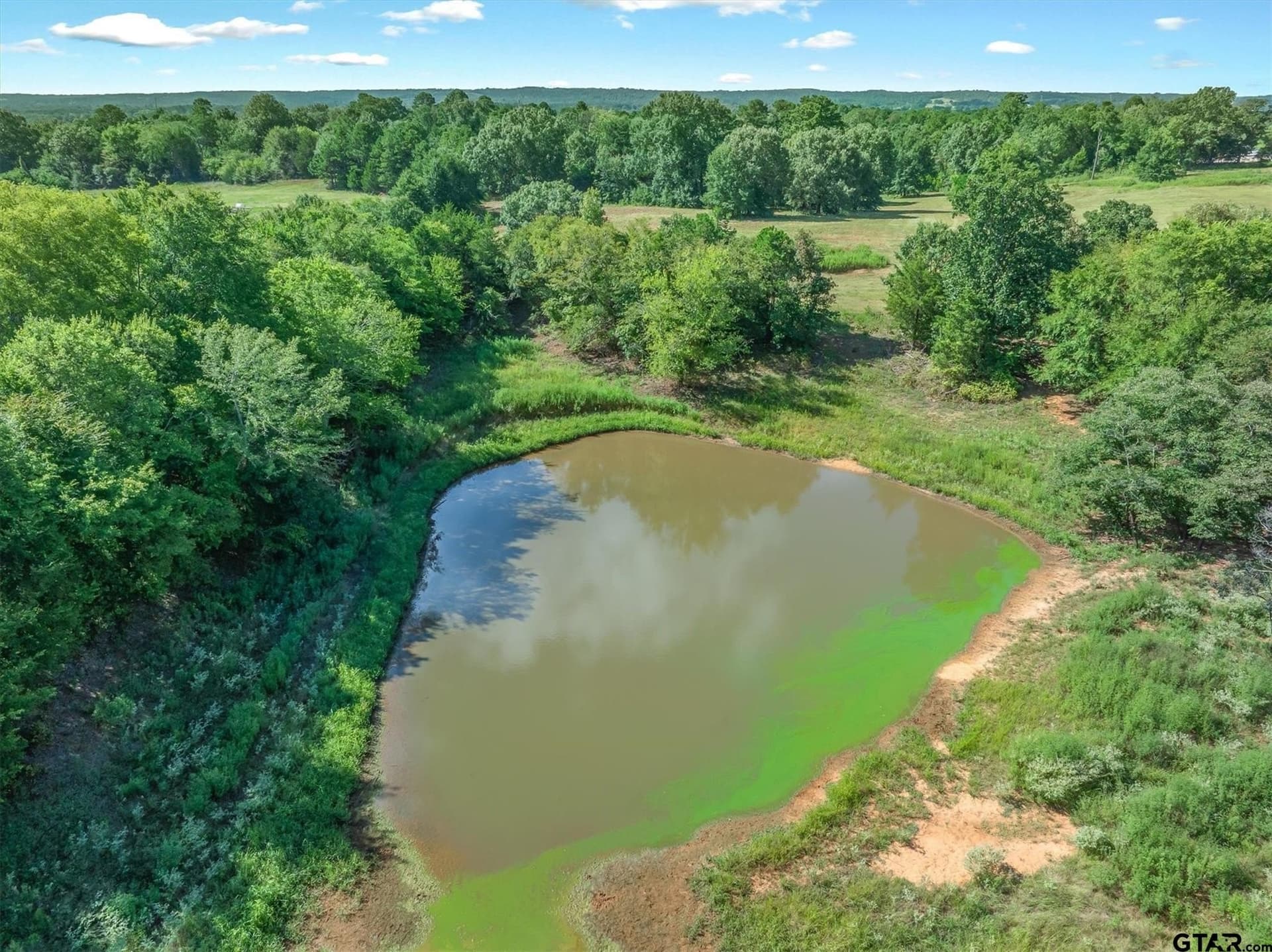 56.65 acres in Henderson County - photo 18