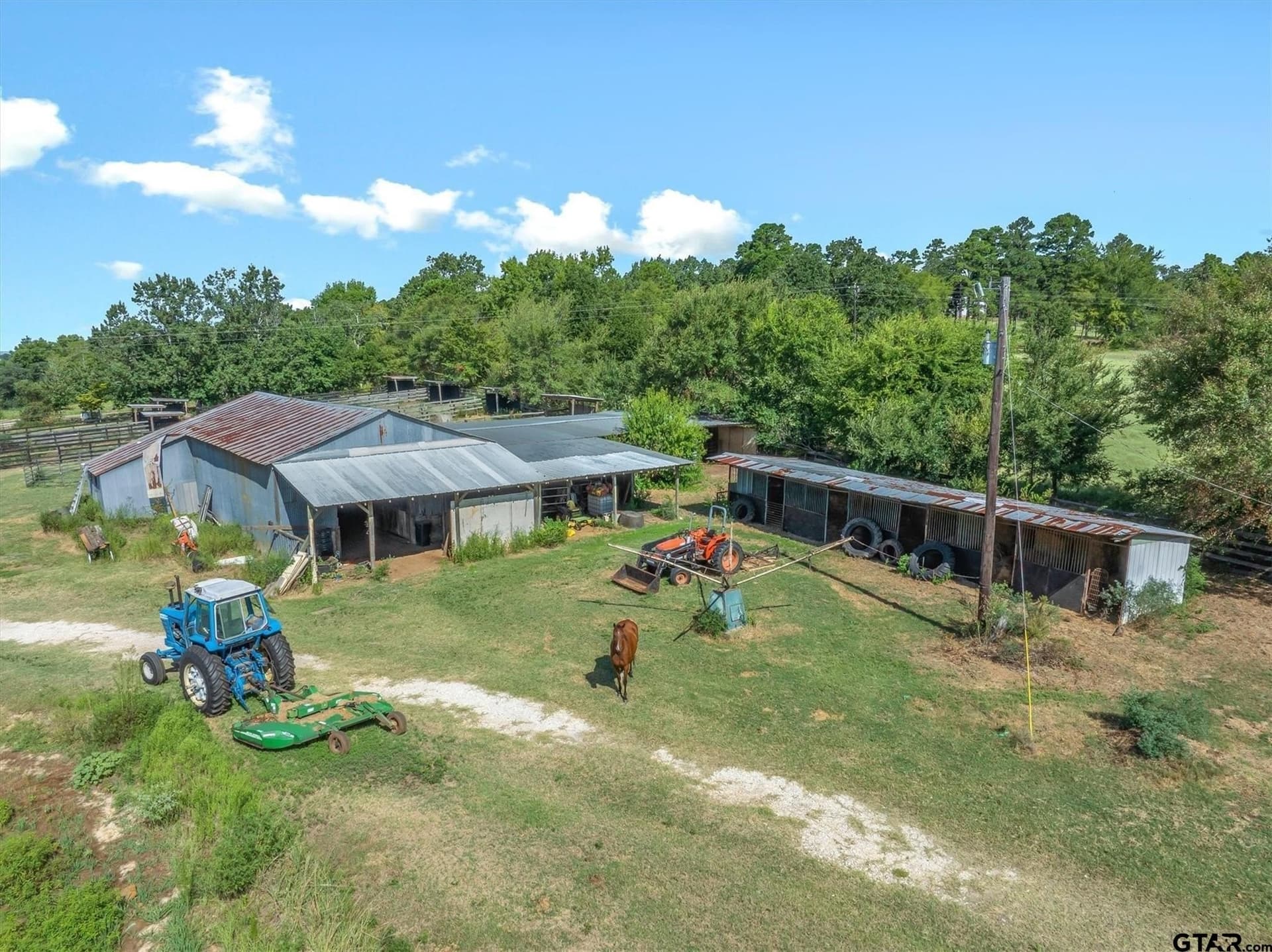 56.65 acres in Henderson County - photo 9