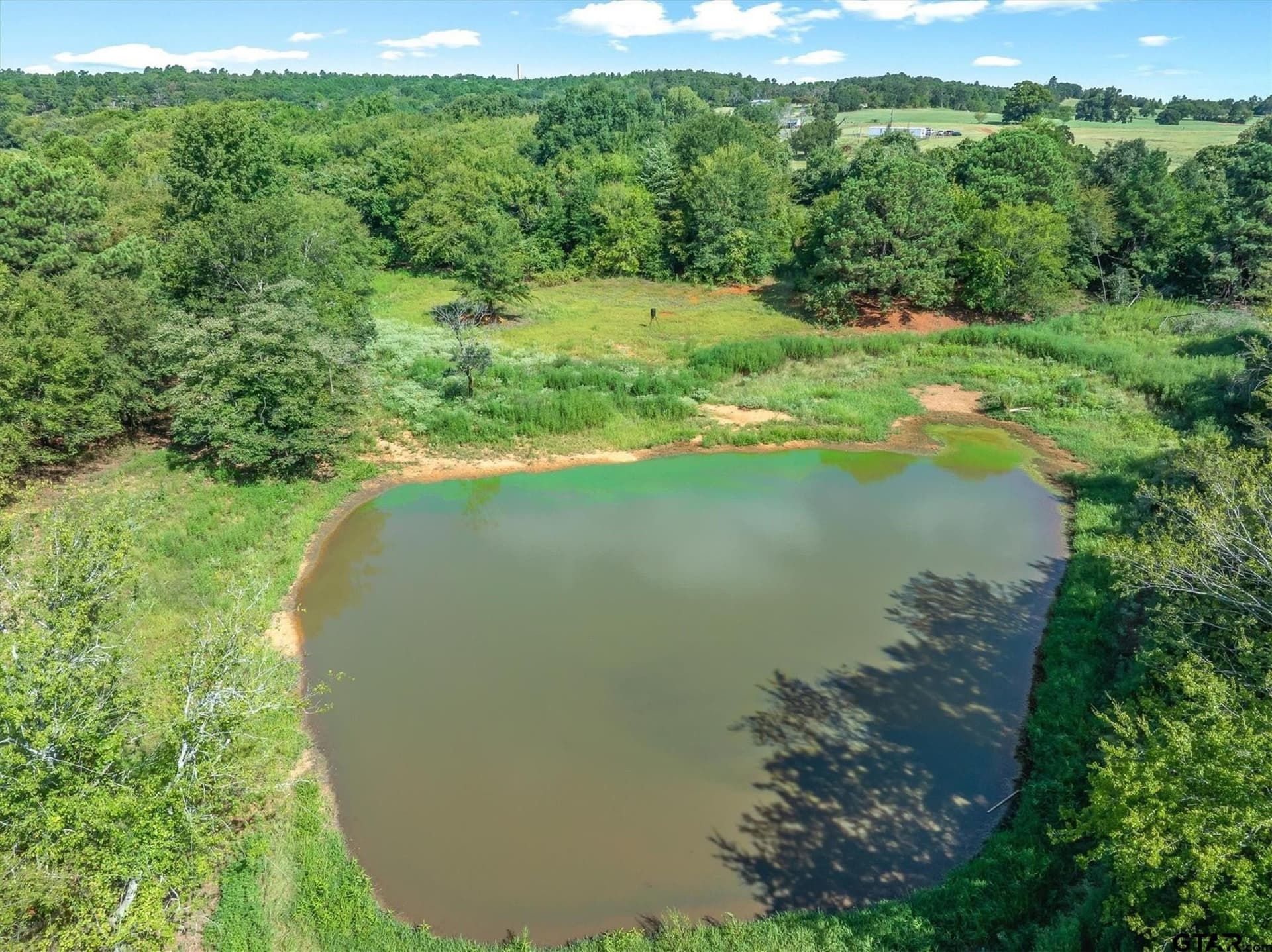 56.65 acres in Henderson County - photo 16