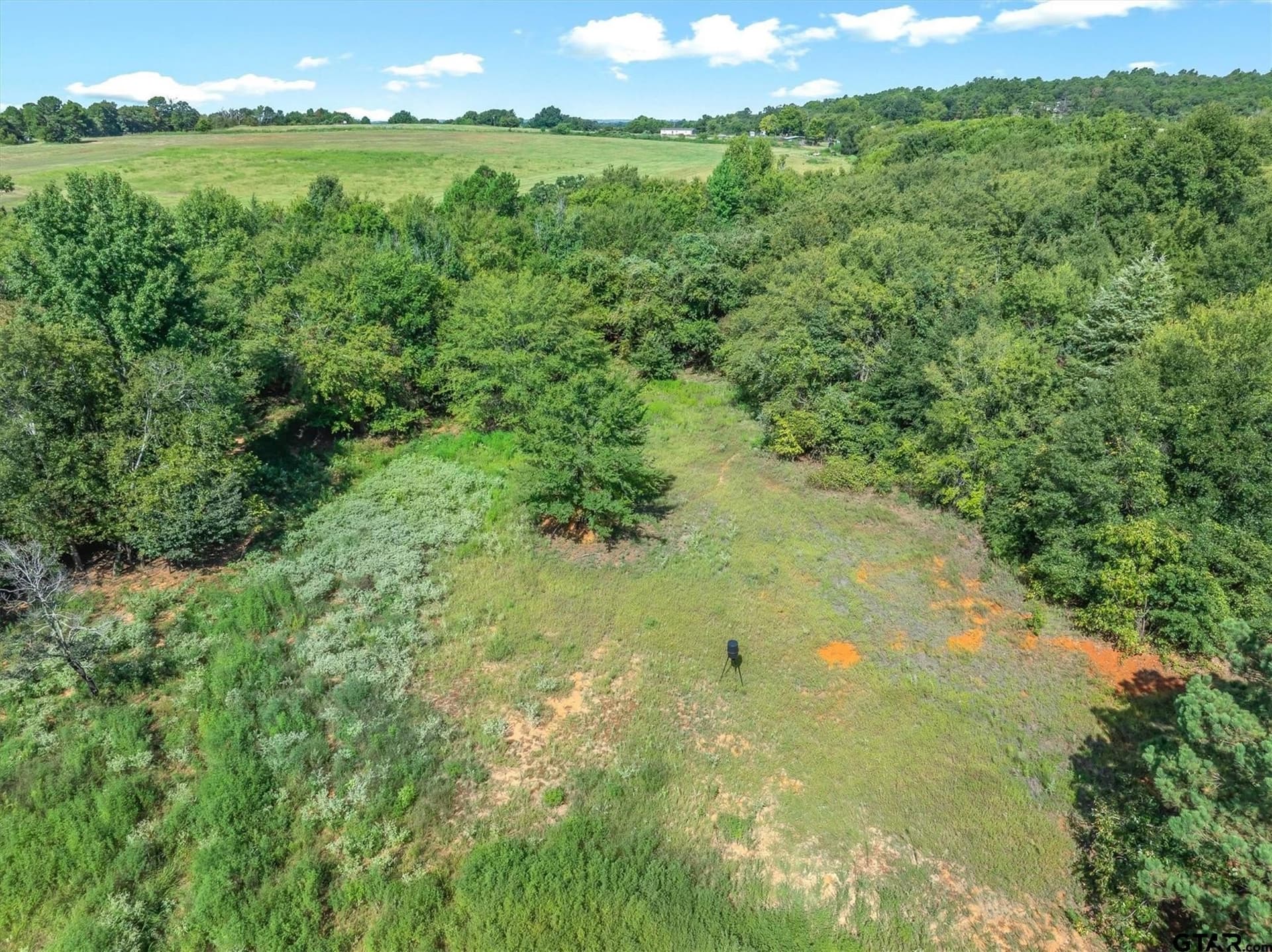 56.65 acres in Henderson County - photo 17