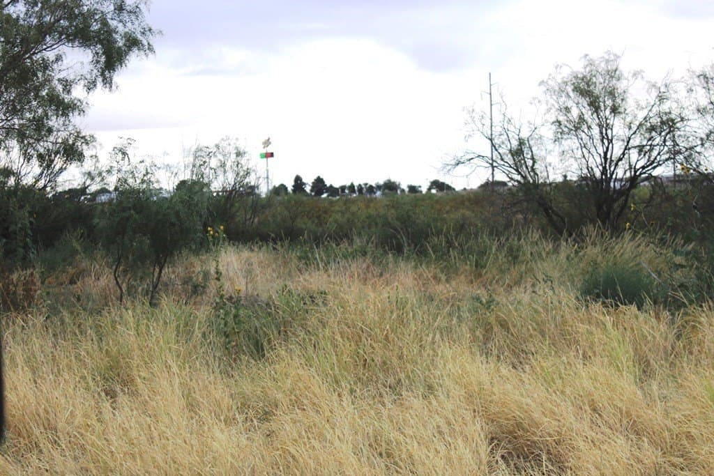 0 acres in Pecos County featured view