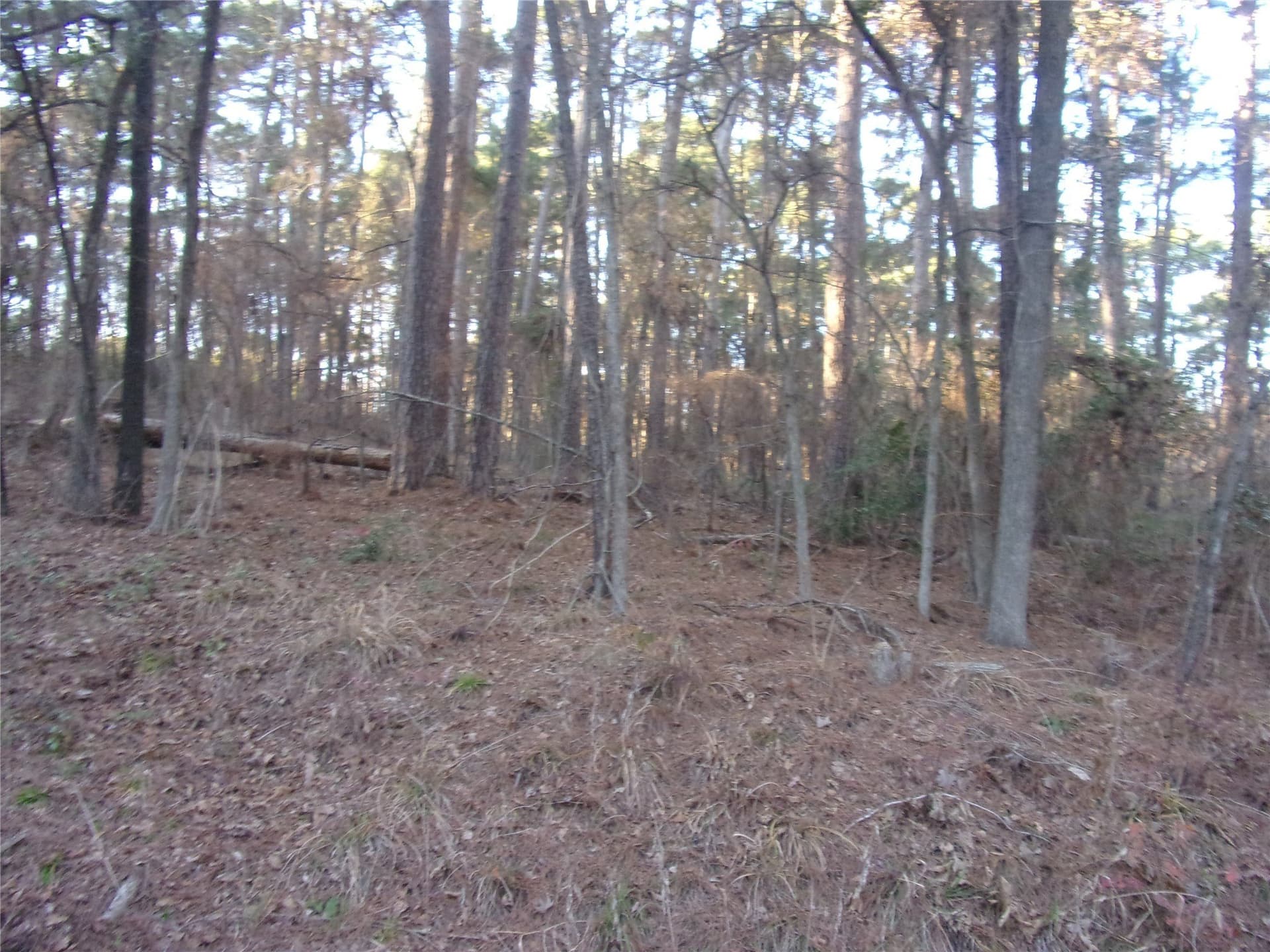 0.22 acres in Smith County gallery image 2