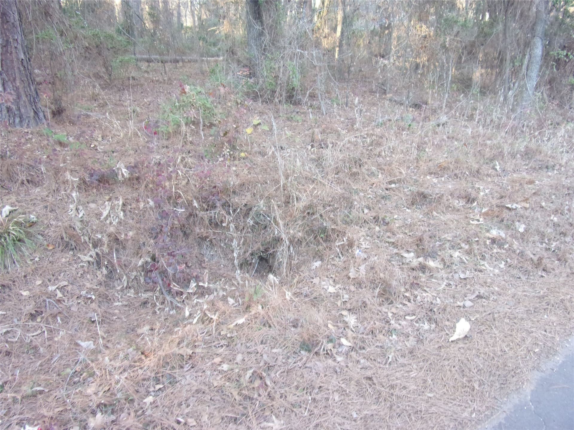 0.22 acres in Smith County gallery image 3