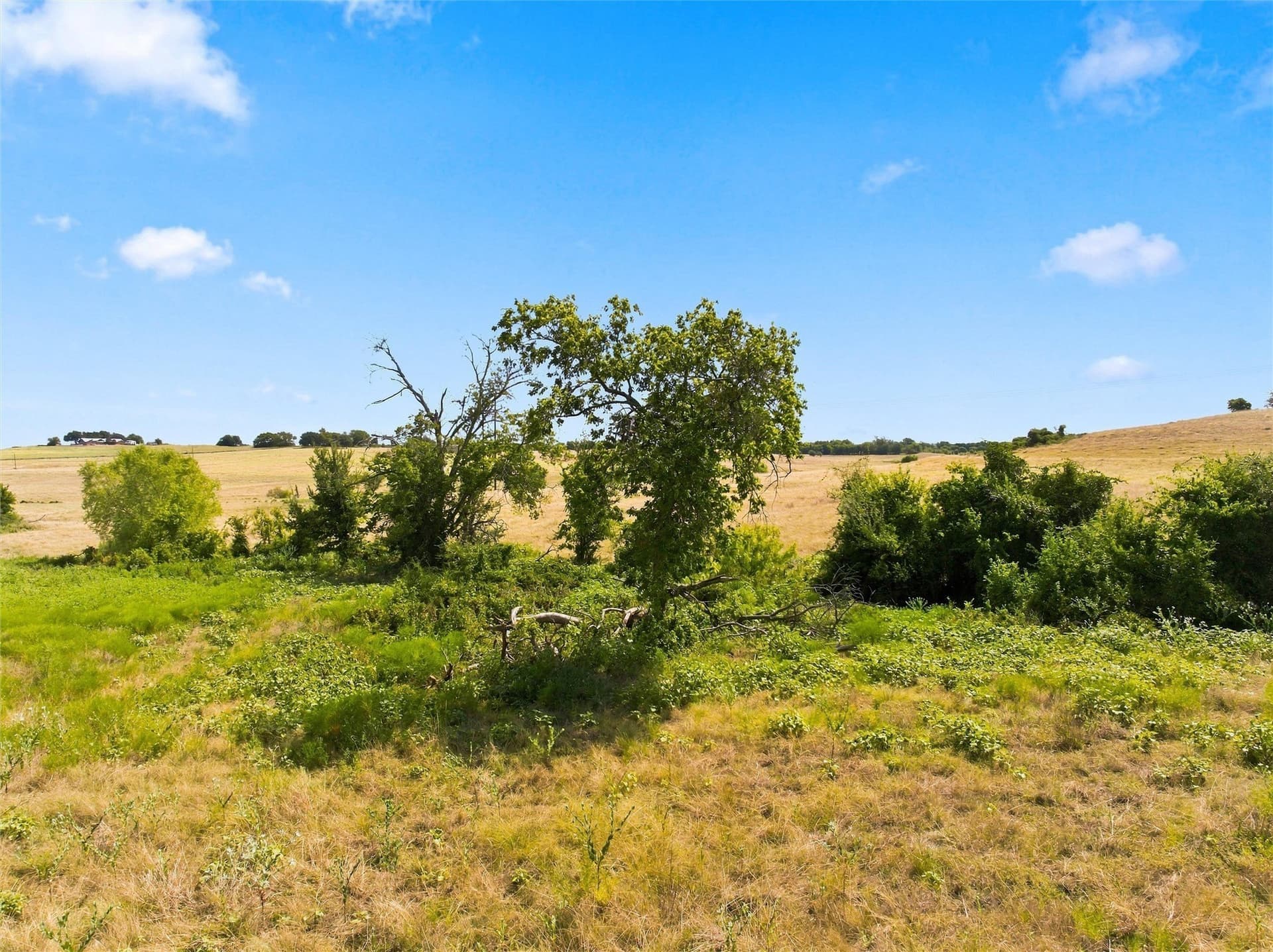 49.72 acres in McLennan County - photo 4