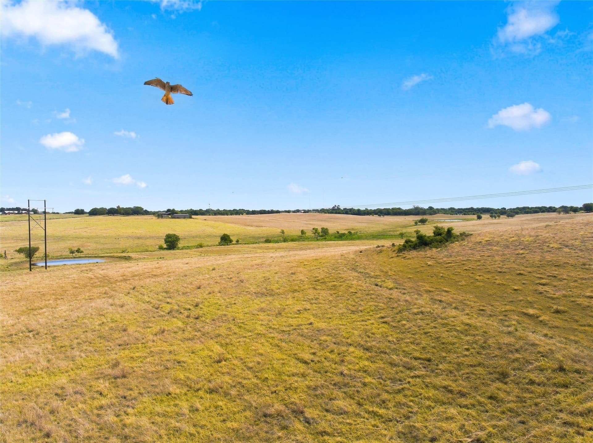 49.72 acres in McLennan County - photo 13