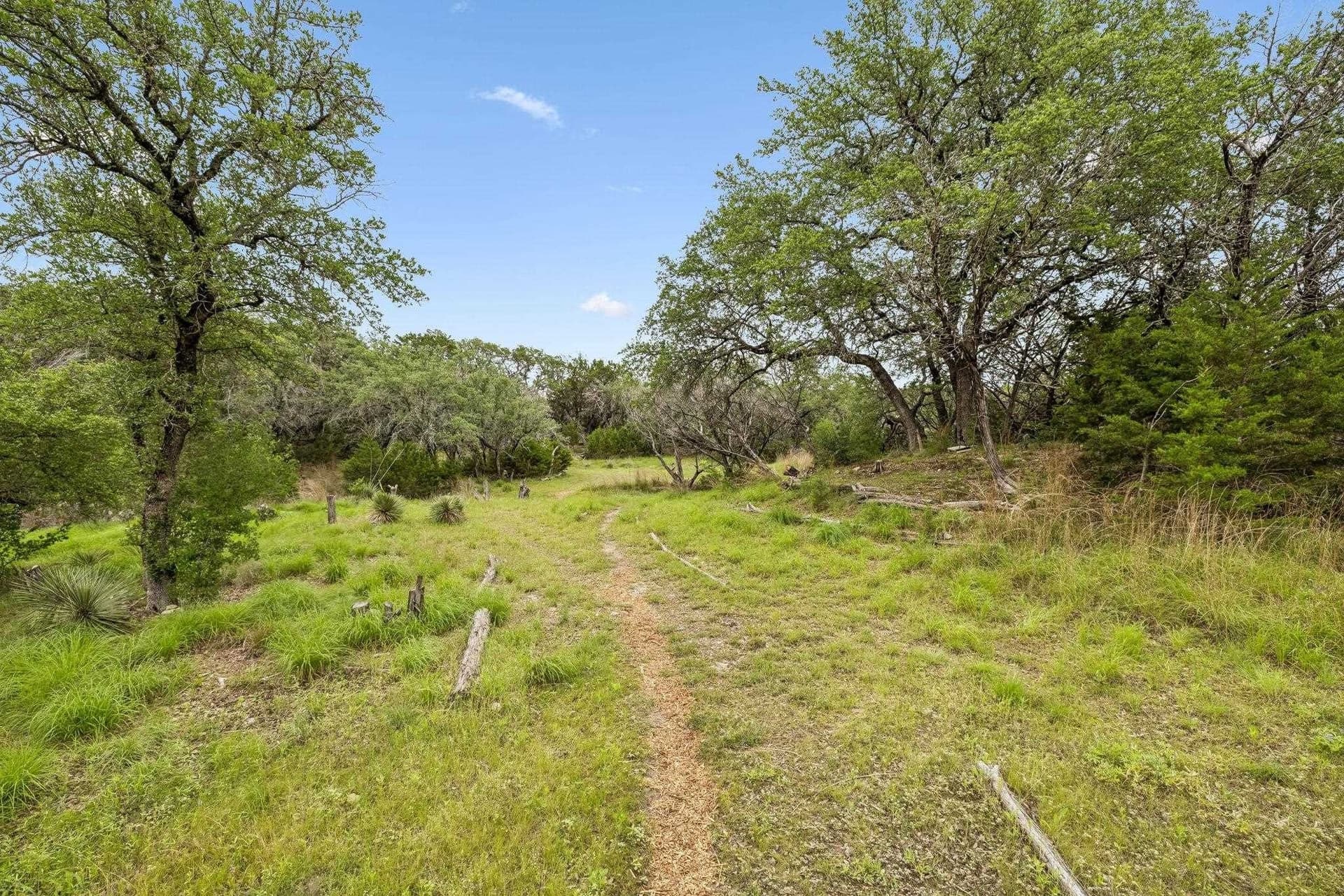 12 acres in Burnet County - photo 10