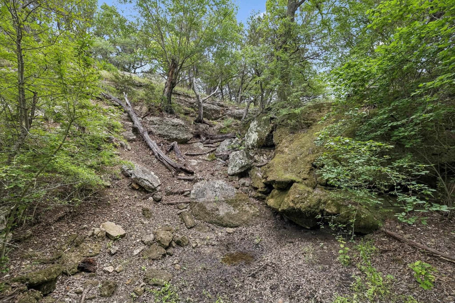12 acres in Burnet County - photo 7