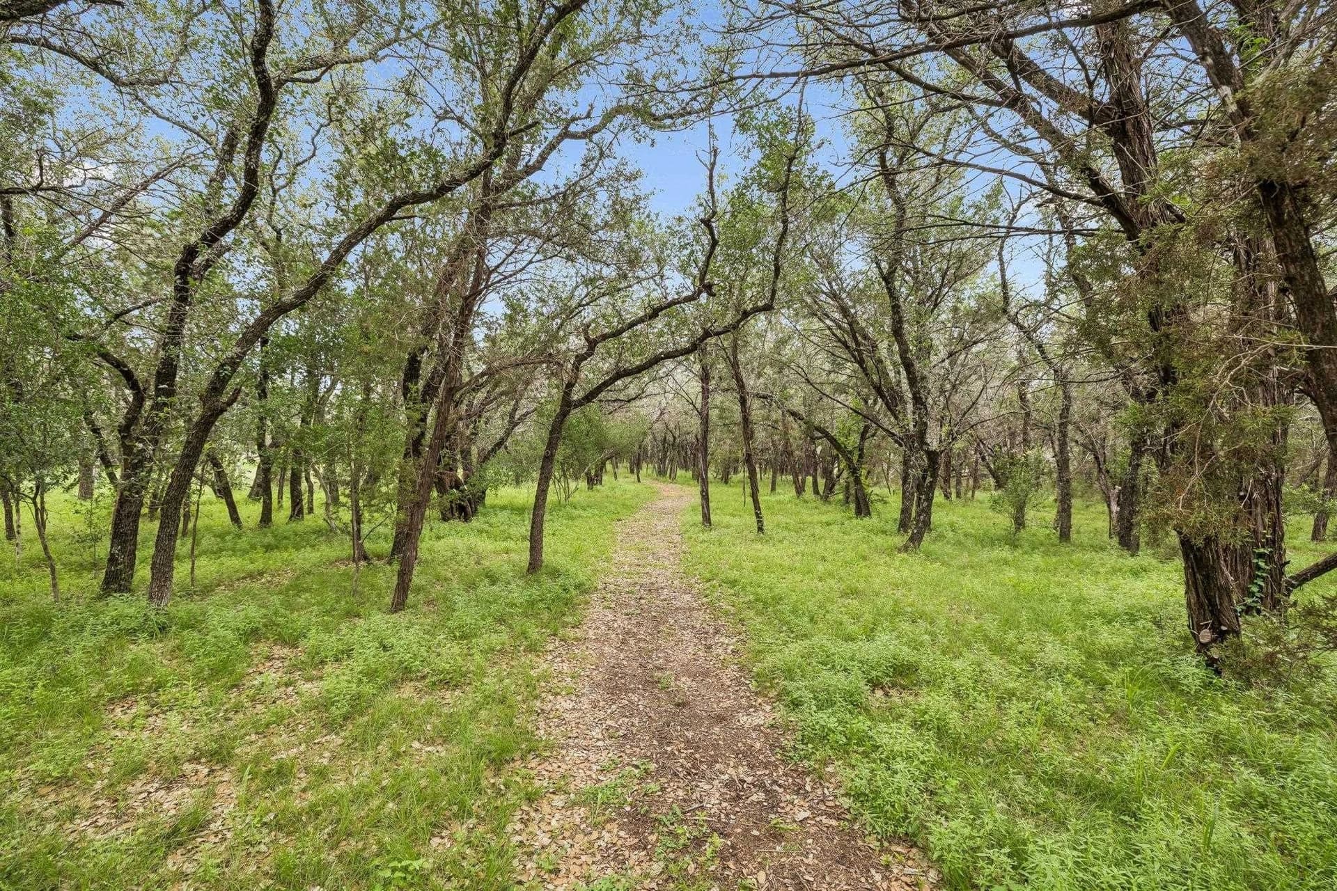 12 acres in Burnet County - photo 9