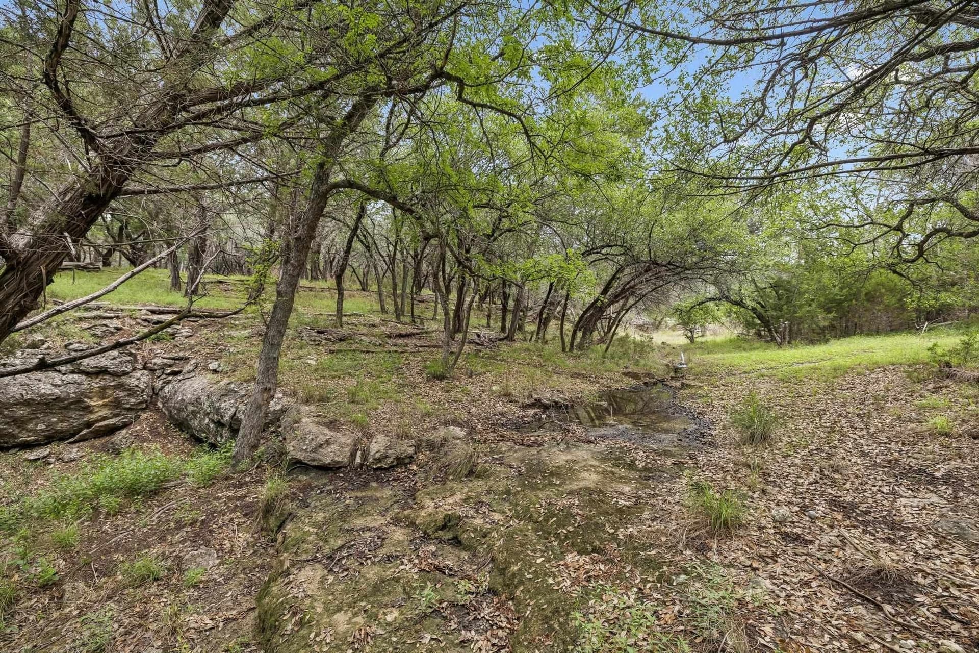 12 acres in Burnet County - photo 6