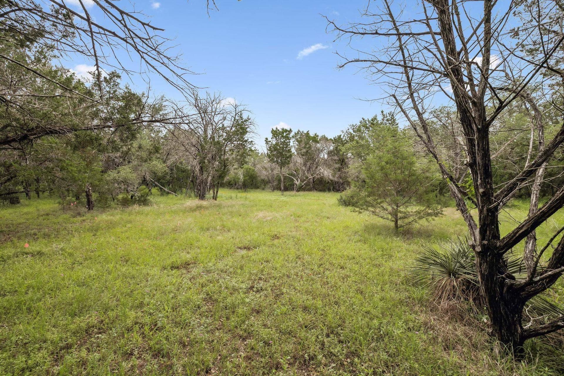 12 acres in Burnet County - photo 39