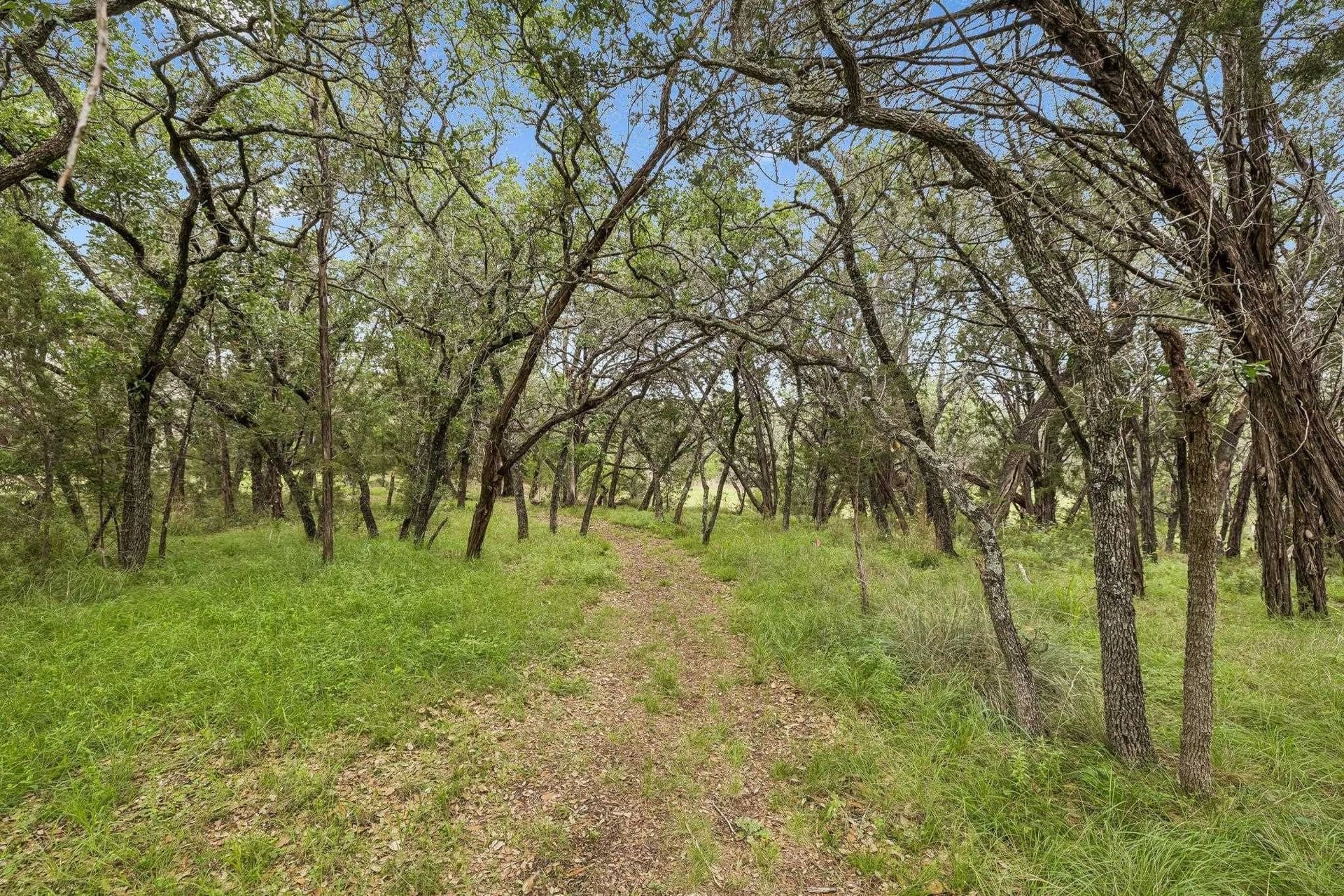 12 acres in Burnet County - photo 38
