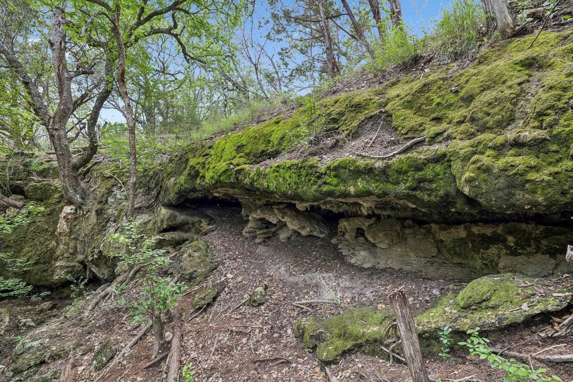 12 acres in Burnet County - photo 8