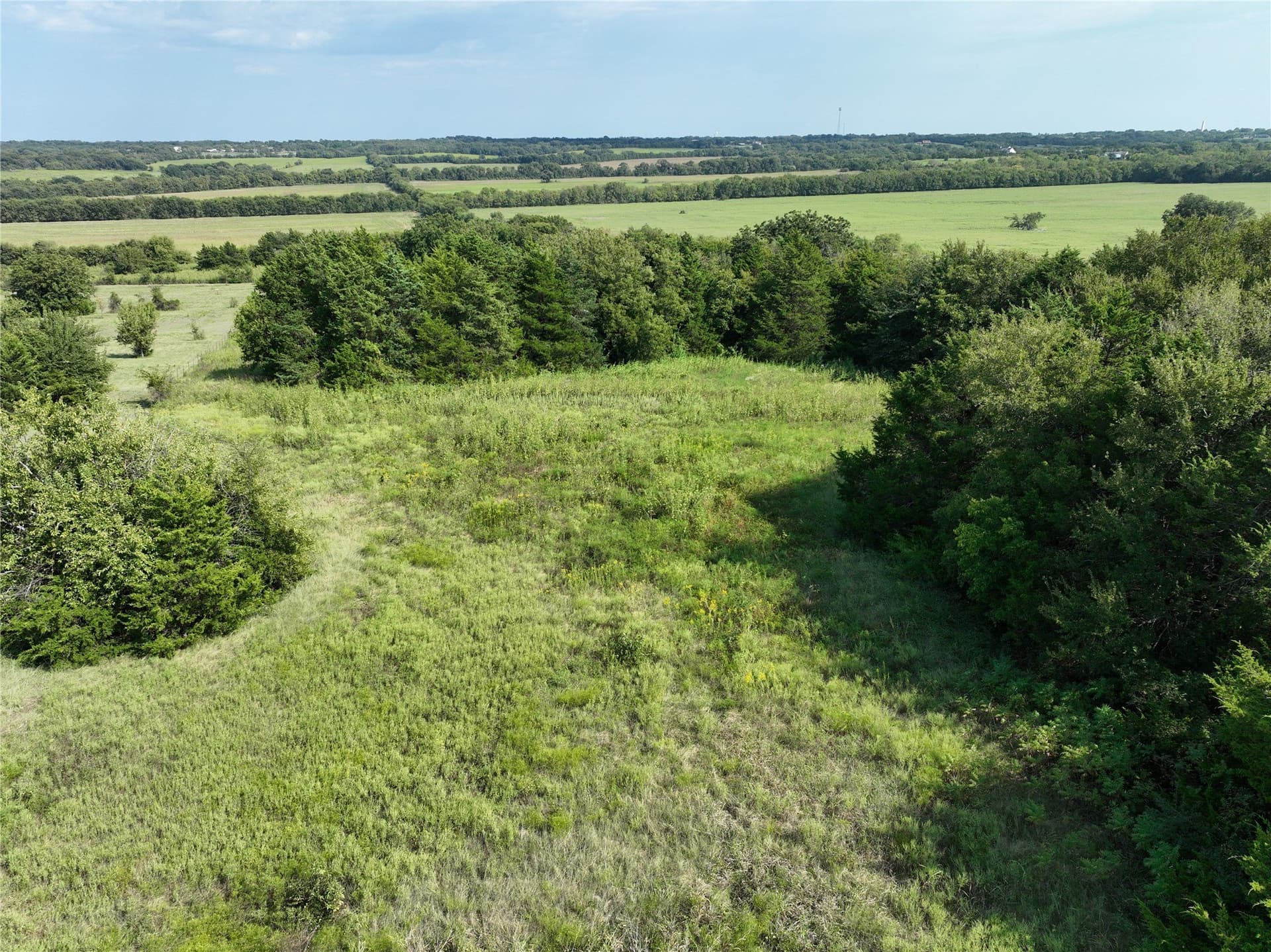 56.78 acres in Grayson County - photo 8