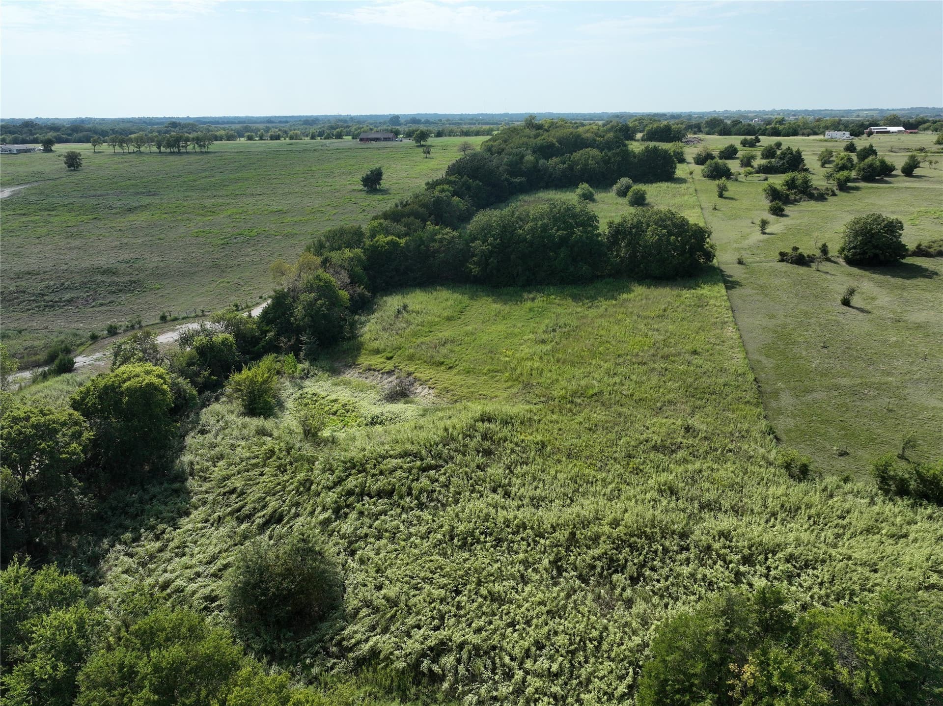 56.78 acres in Grayson County gallery image 4