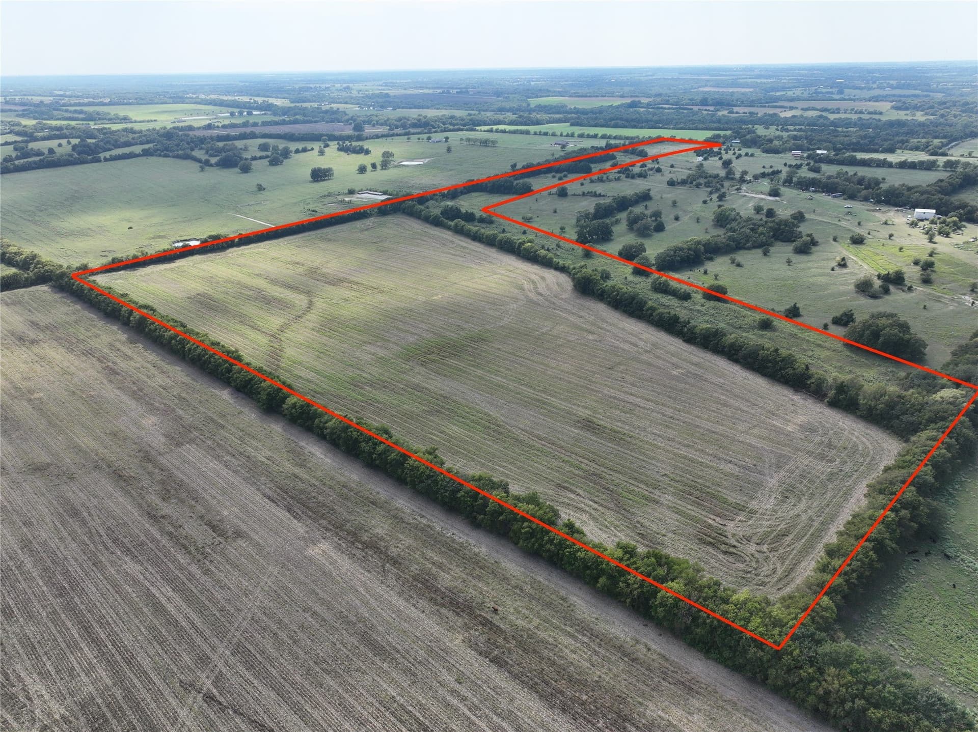 56.78 acres in Grayson County gallery image 2