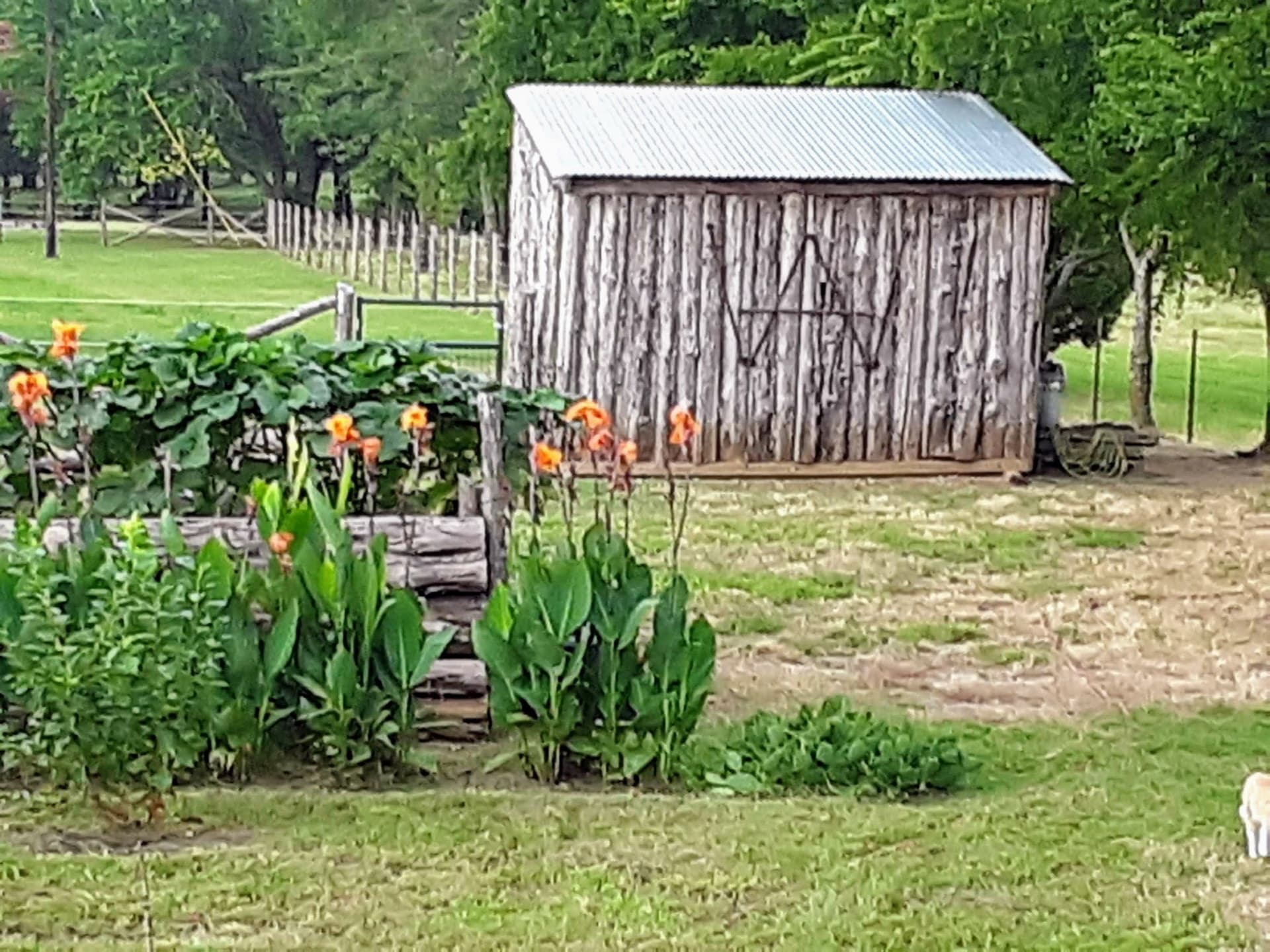 9.95 acres in Grayson County - photo 16
