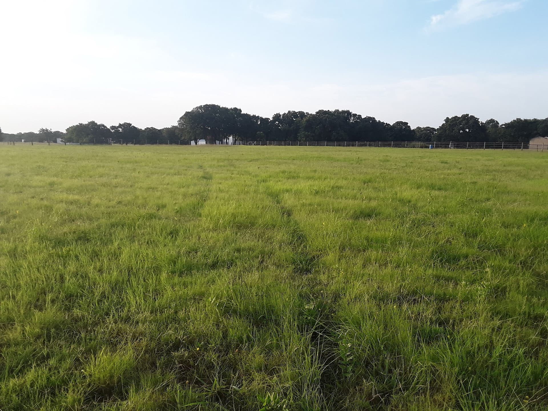 9.95 acres in Grayson County - photo 11