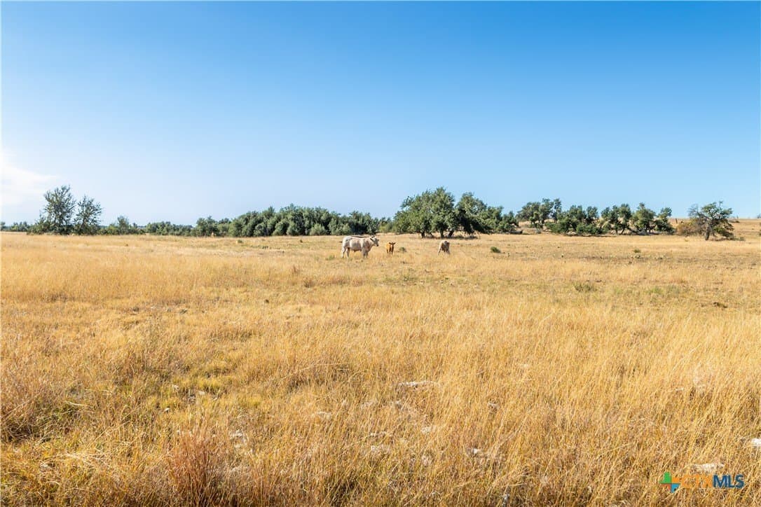 10.09 acres in Gillespie County