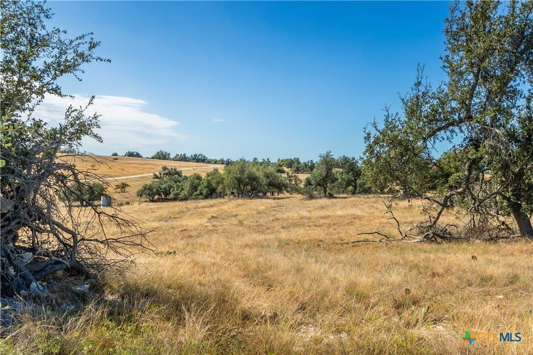 10.09 acres in Gillespie County featured view