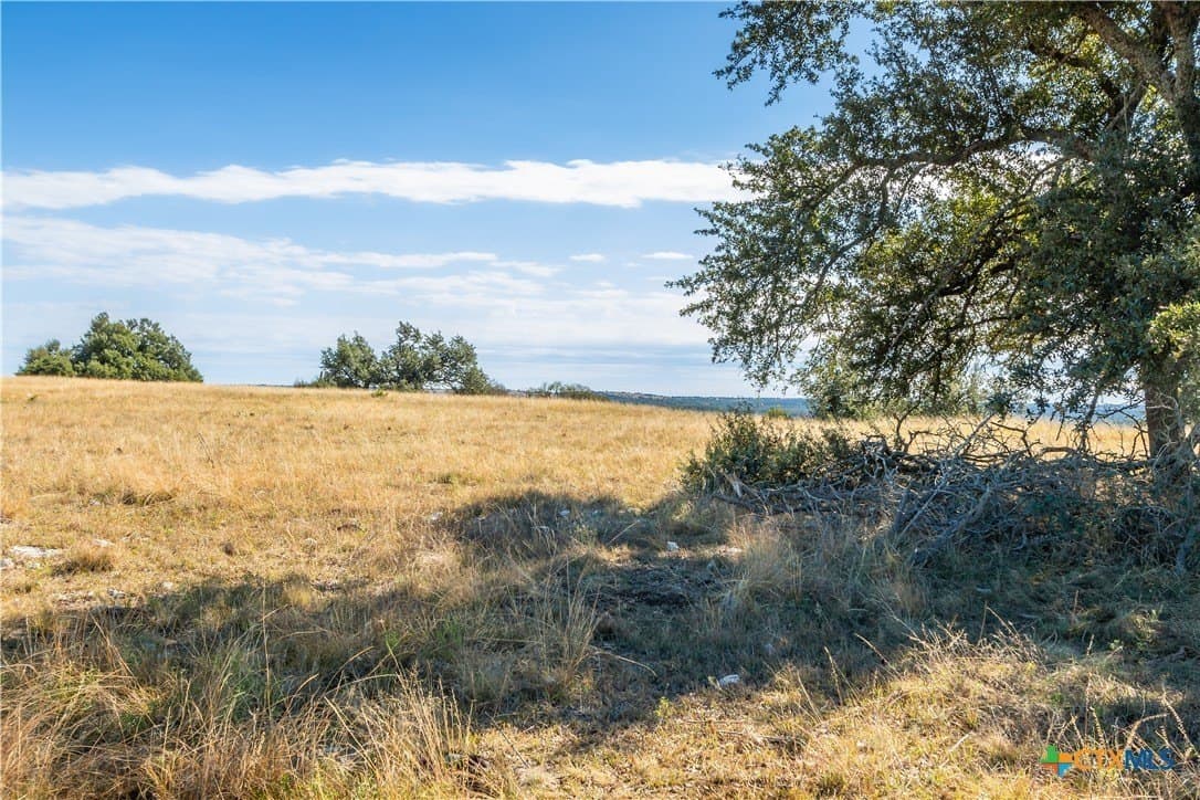 10.09 acres in Gillespie County gallery image 4