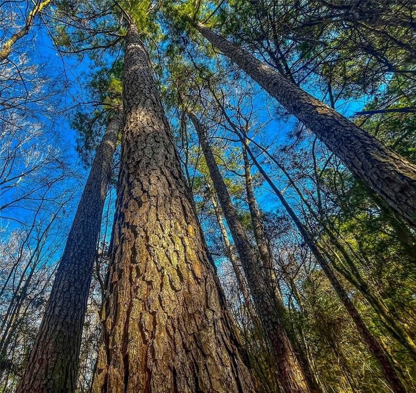 11.5 acres in Anderson County featured view