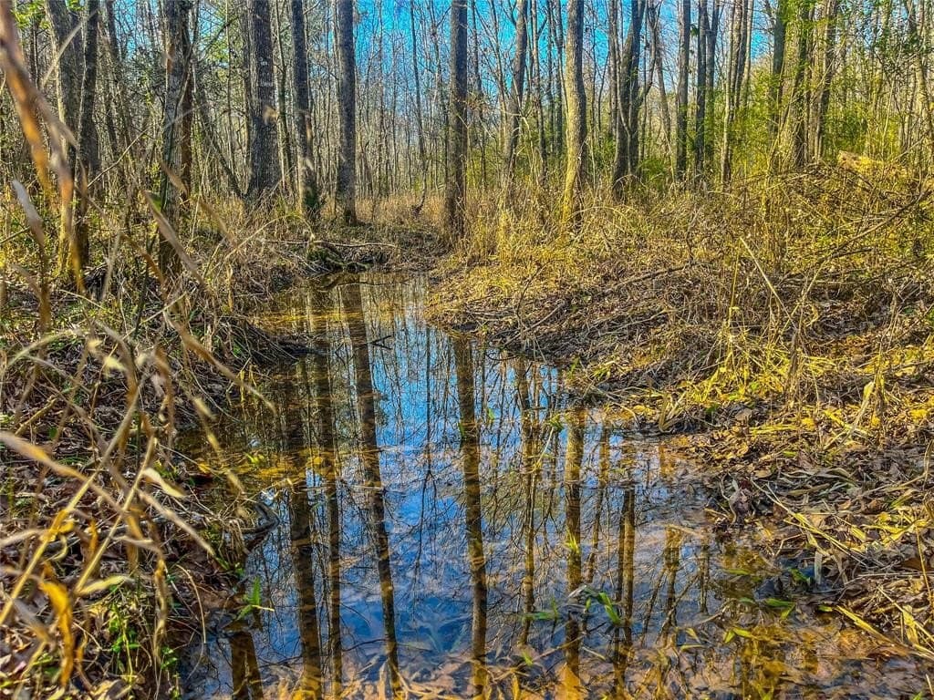 11.5 acres in Anderson County gallery image 2