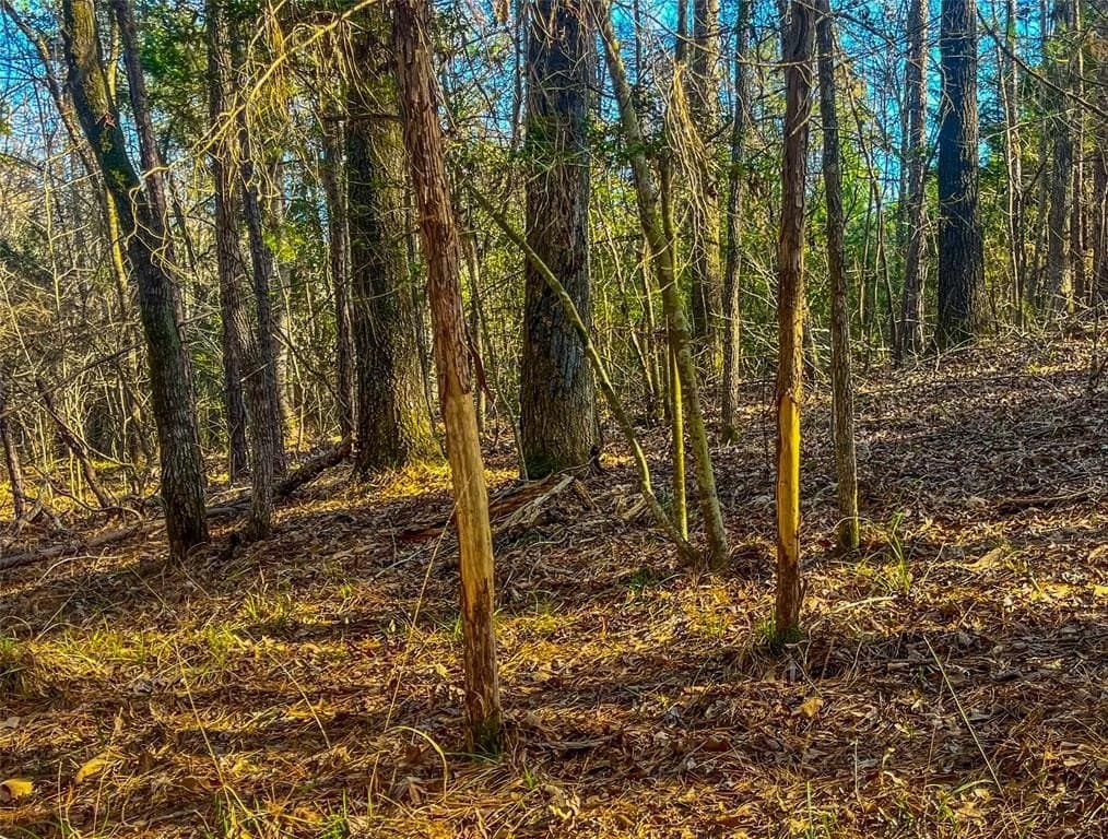 11.5 acres in Anderson County gallery image 4