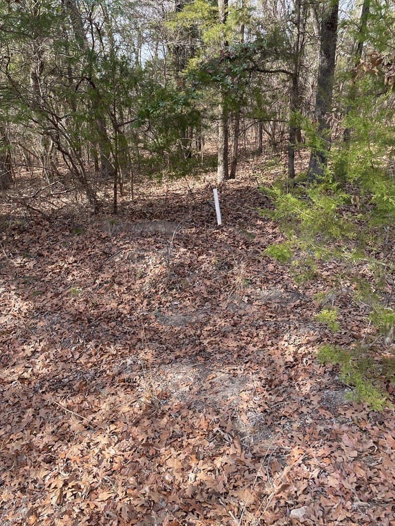 0.66 acres in Van Zandt County gallery image 2