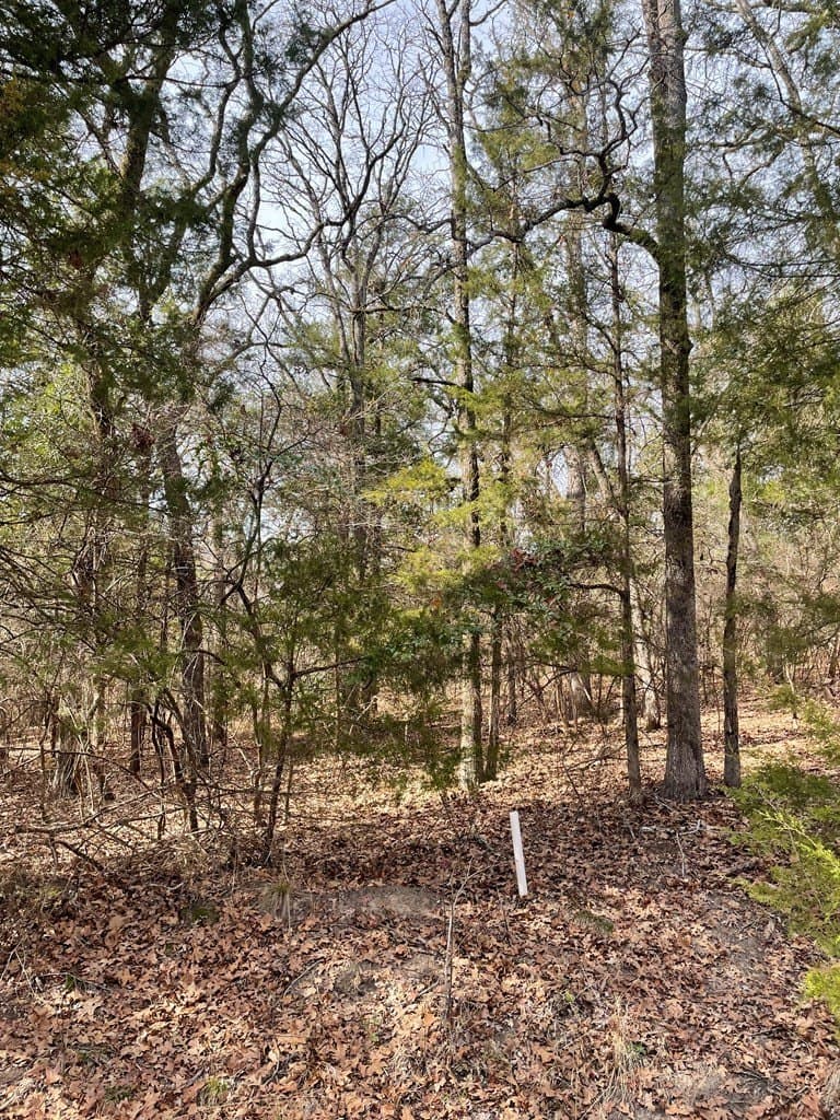 0.66 acres in Van Zandt County gallery image 3