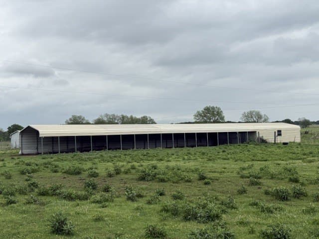 13 acres in Fannin County gallery image 3