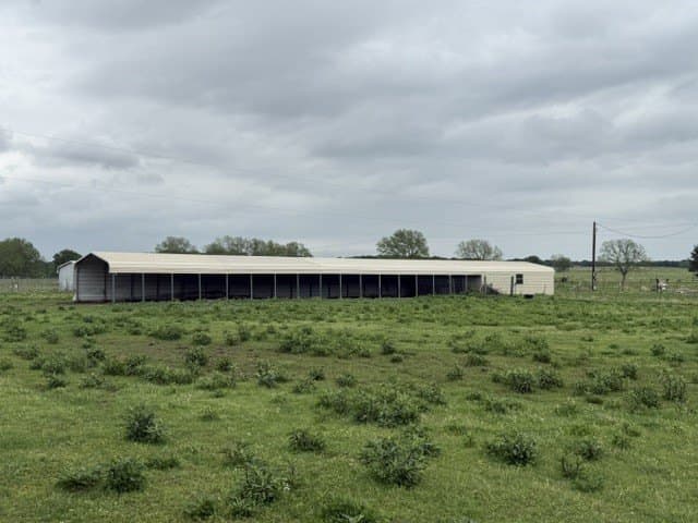 13 acres in Fannin County gallery image 2