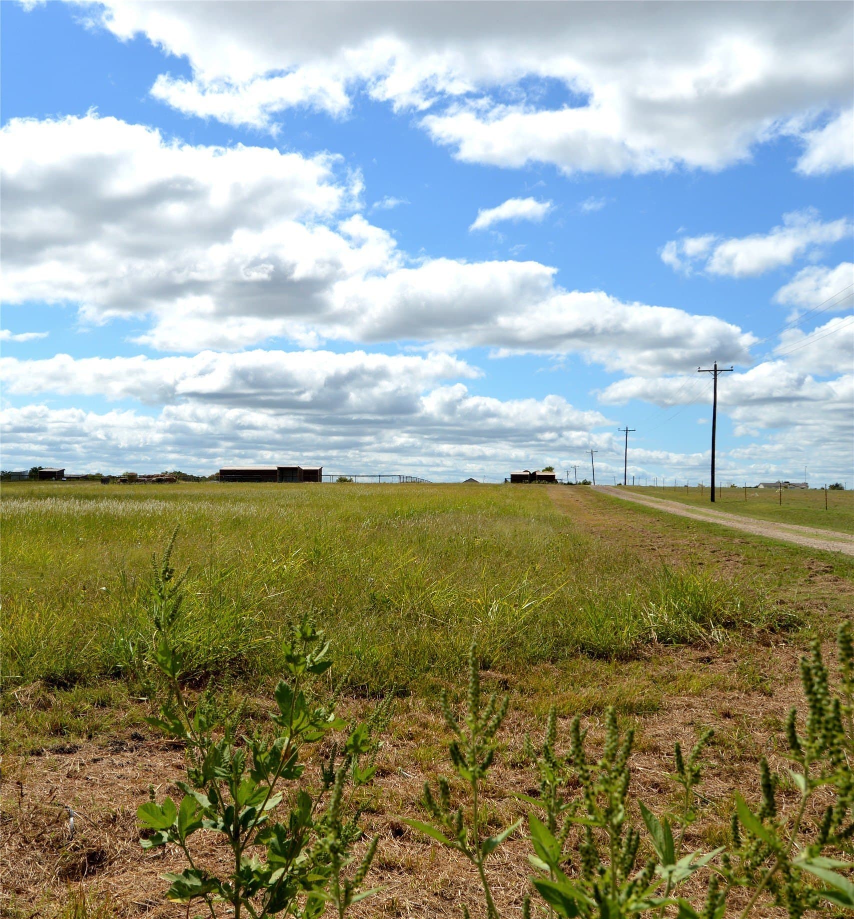 20 acres in Delta County gallery image 2