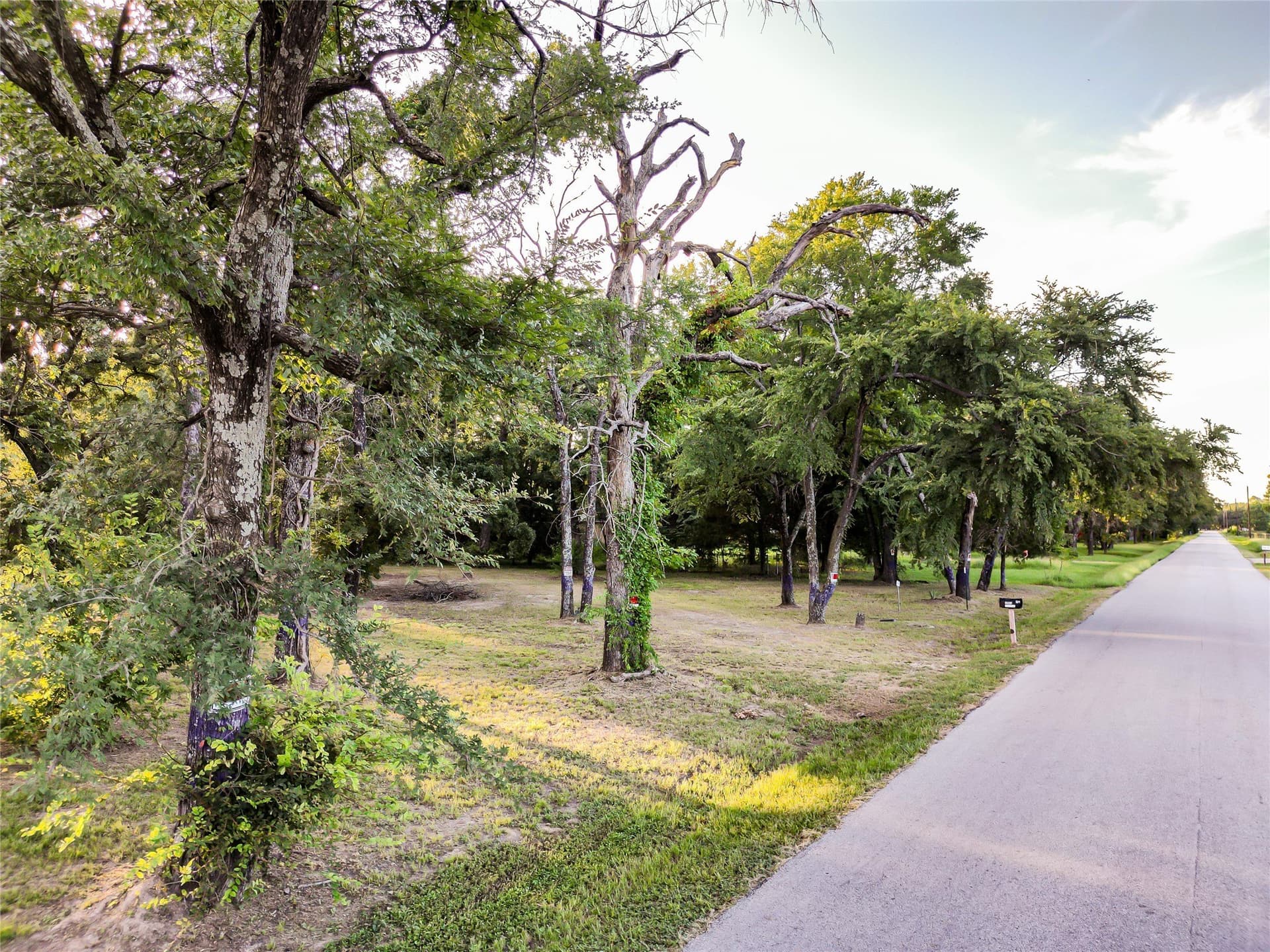 2 acres in Henderson County - photo 3