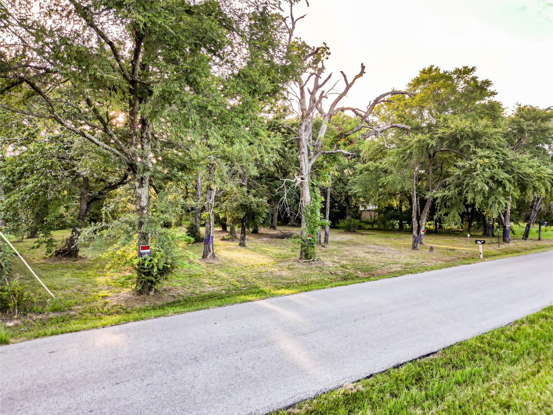 2 acres in Henderson County - photo 20